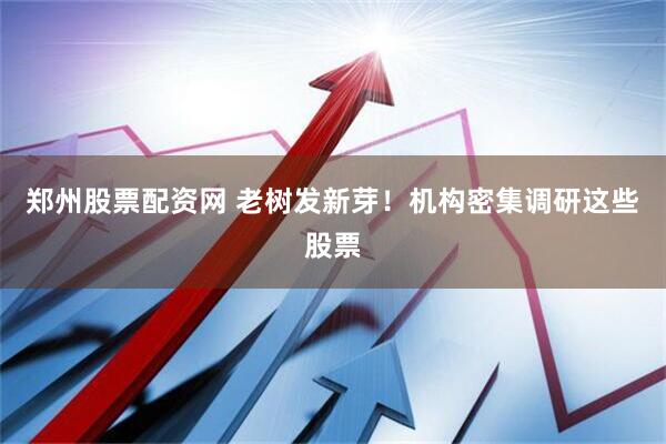 郑州股票配资网 老树发新芽！机构密集调研这些股票