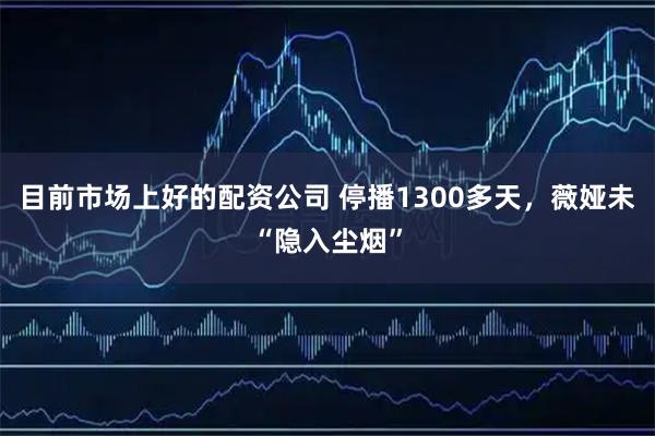 目前市场上好的配资公司 停播1300多天，薇娅未“隐入尘烟”