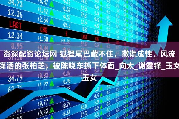 资深配资论坛网 狐狸尾巴藏不住，撒谎成性、风流潇洒的张柏芝，被陈晓东撕下体面_向太_谢霆锋_玉女