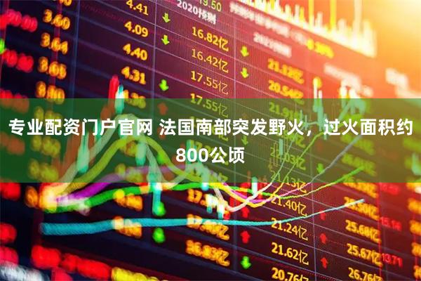 专业配资门户官网 法国南部突发野火，过火面积约800公顷